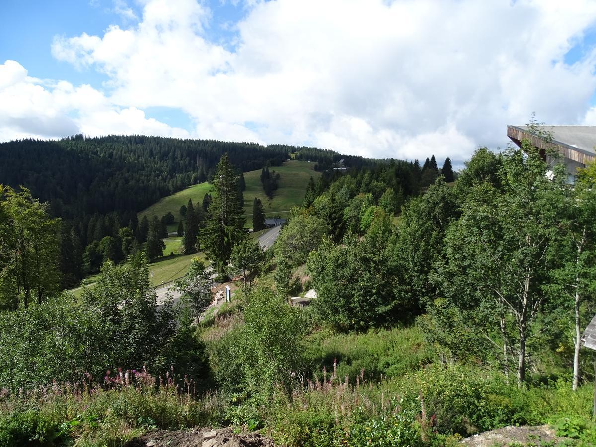 'S Jaegermatt Bed & Breakfast Feldberg  Exterior foto
